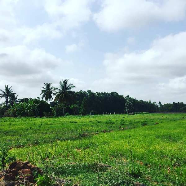 1 acre farm land for sale in Doddballapura