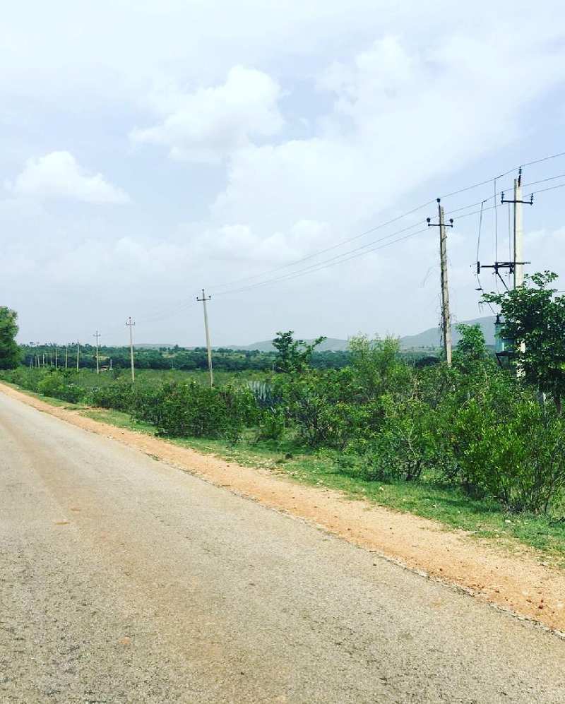 6 acres farm land for sale in Doddballapura