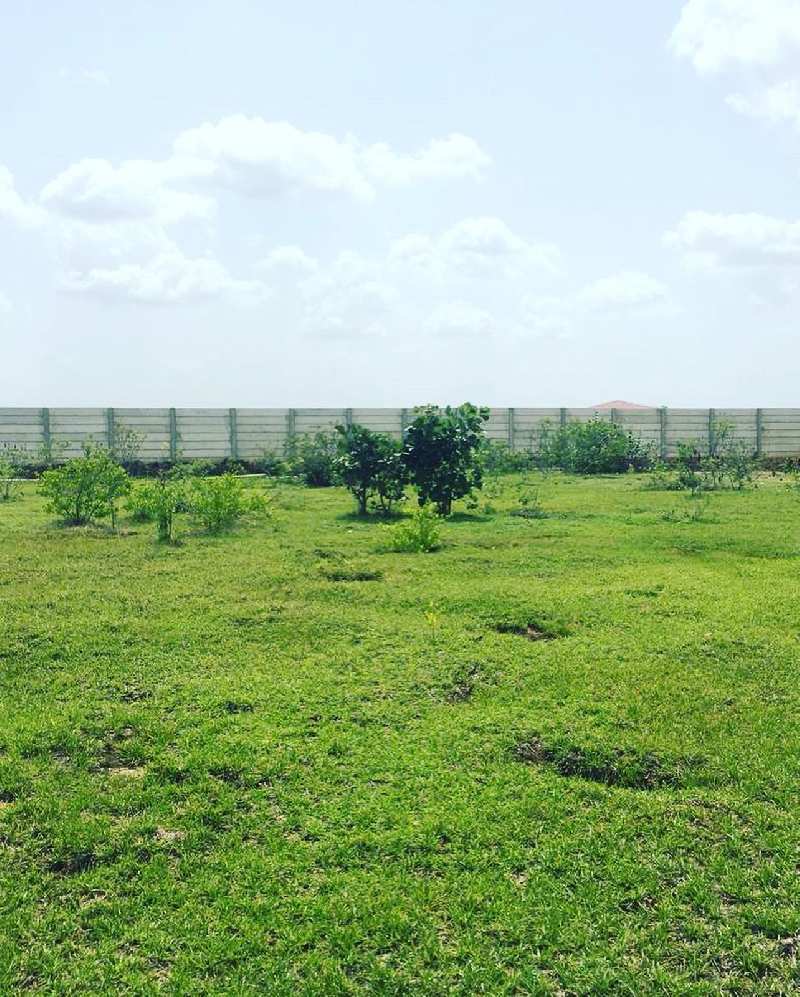 6 acres farm land for sale in Doddballapura