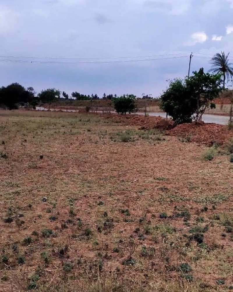 11.25 guntas + 1.25guntas farm land for sale in Hoskote Talluk - Bangalore rural dist