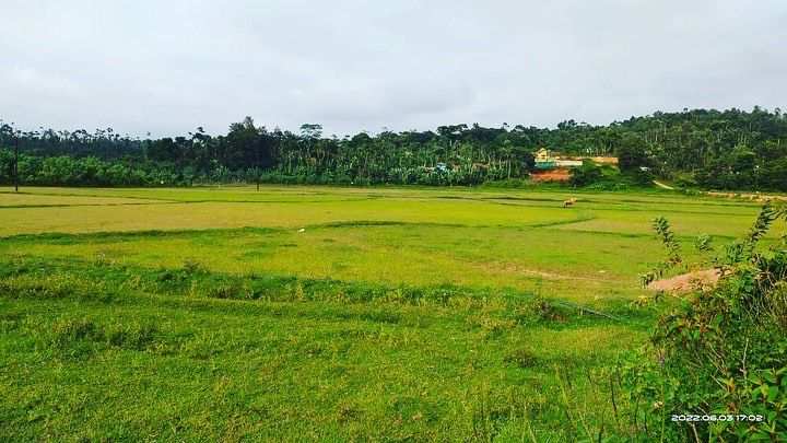 2.5 acre agriculture land for sale in Mudigere