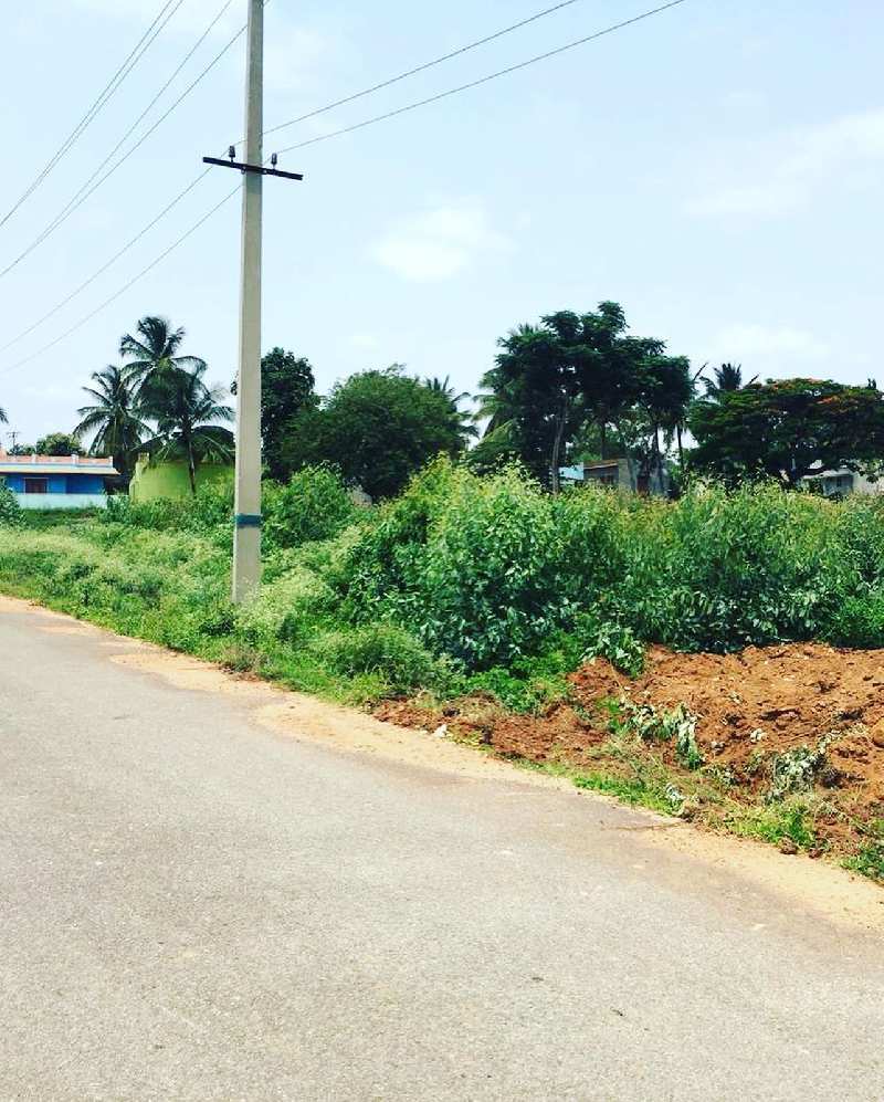 11 guntas farm land for sale in Doddaballapura- Bengaluru rural