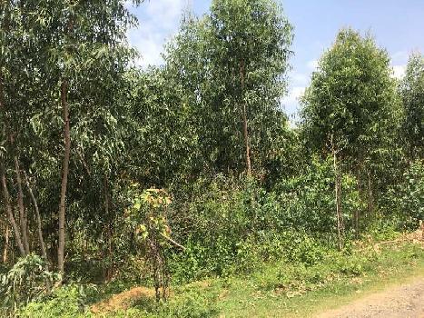1 acre 4 guntas farm land for sale in Doddaballapura