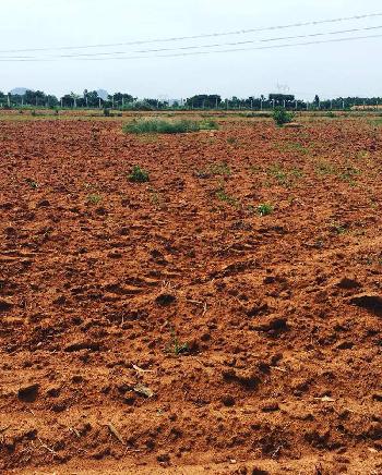 1 acre farm land for sale in Doddaballapur- Bengaluru rural