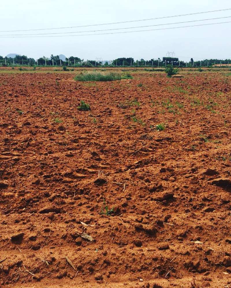 1 acre farm land for sale in Doddaballapur- Bengaluru rural