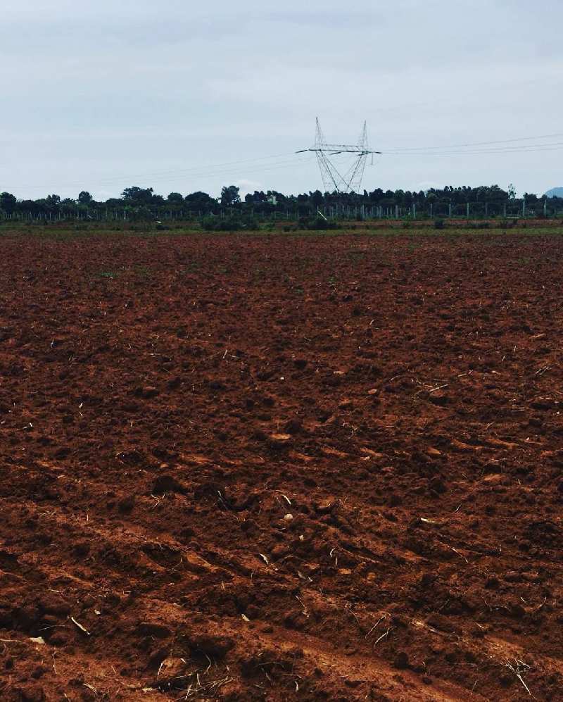 1 acre farm land for sale in Doddaballapur- Bengaluru rural