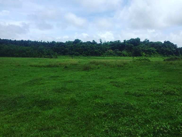8 acre agriculture land for sale in Mudigere