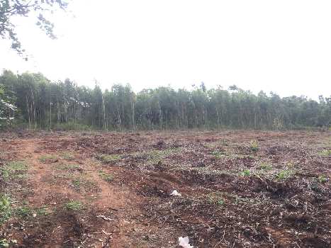 39guntas Farm land for sale in Doddaballapura