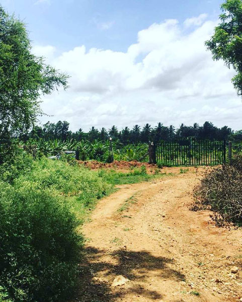 1 acre 10 guntas Farm Land for sale in Doddaballapura