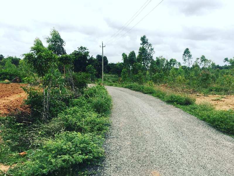 2 acres 20 guntas Beautiful Hill View Farm land for sale in Doddballapura