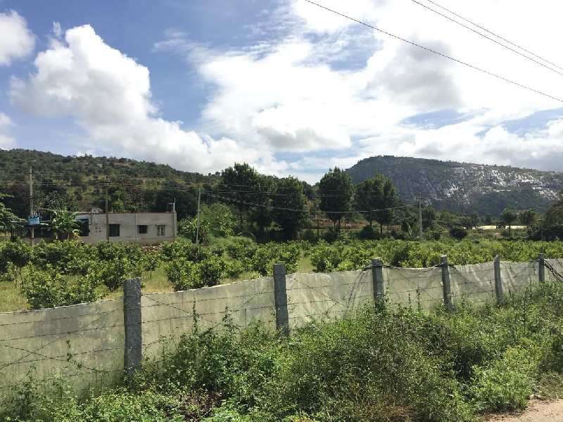 4 acres developed farm house with beautiful view for sale in Chikkaballapura