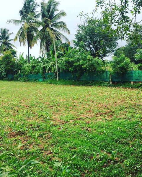 1 acre land attached to Highway for sale @ Doddabalapura Town.