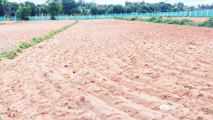 2 acres 2 guntas farm land for sale in Doddballapura