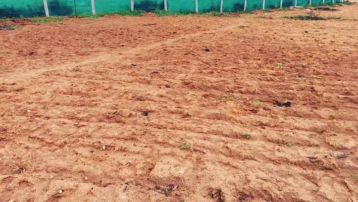 2 acres 2 guntas farm land for sale in Doddballapura