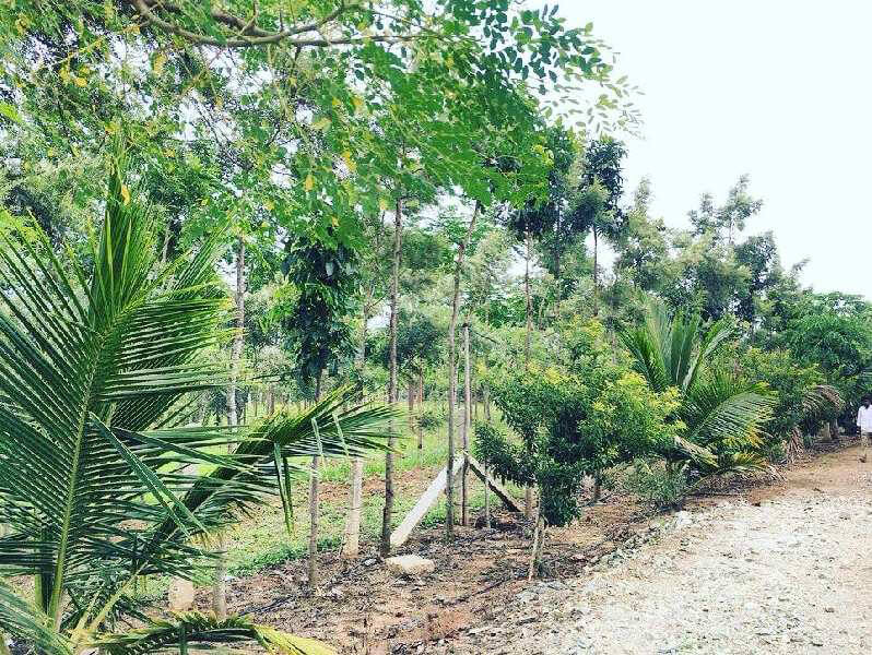 1 acre 6 guntas Developed Farm  Land Opposite to Lake for Sale in Bangalore rural