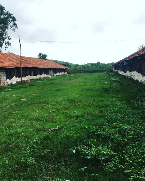 3 acres 20 guntas + 1 acre Karab Developed Farm Main Road attached for Sale in Doddballapura