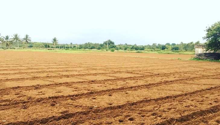 6 acres 10 guntas Farm Land for Sale In Bangalore rural