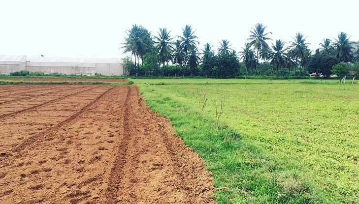 6 acres 10 guntas Farm Land for Sale In Bangalore rural