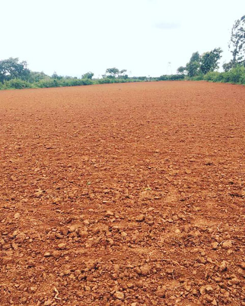 1 acre 34 guntas Farm Land for sale in Doddballapura