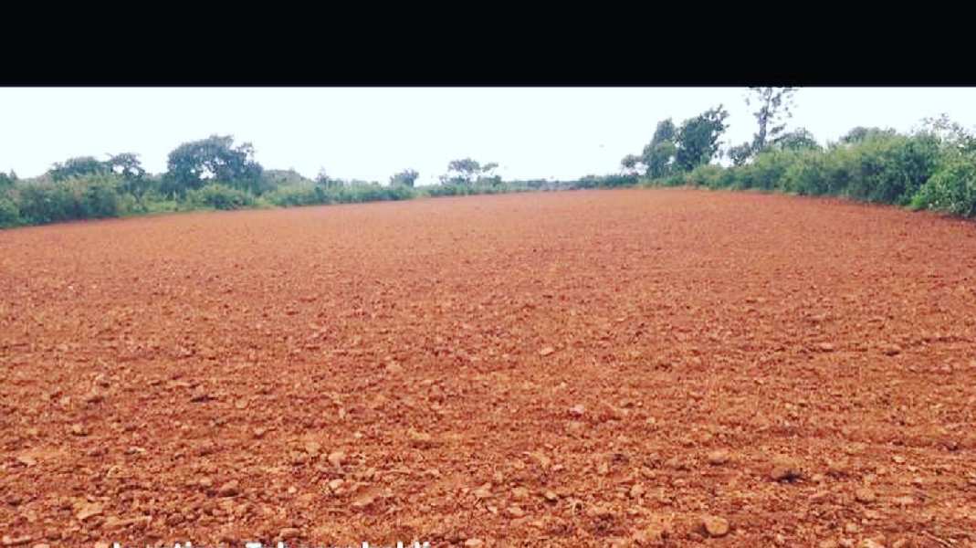 1 acre 34 guntas Farm Land for sale in Doddballapura