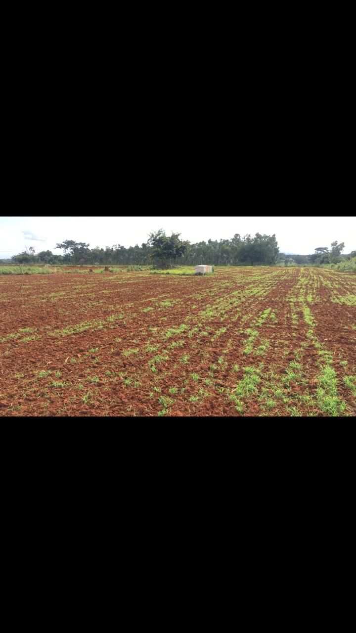 1 acre 38 guntas farm land for sale in Doddballapura