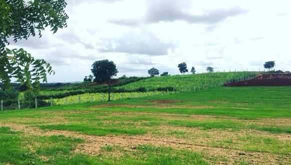 3 acres farm land with Beautiful view for sale in Doddballapura