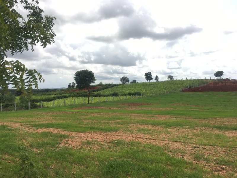 3 acres farm land with Beautiful view for sale in Doddballapura