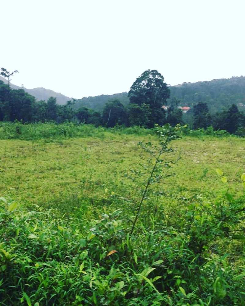 3 acre land for sale in Kalasa road