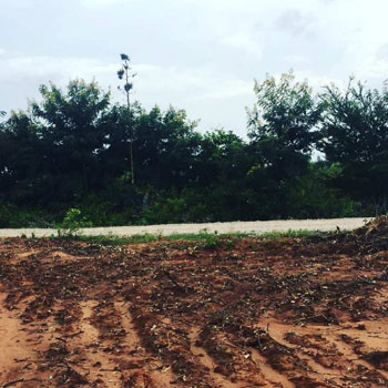 35 Guntas Farm Land for Sale in Bangalore rural
