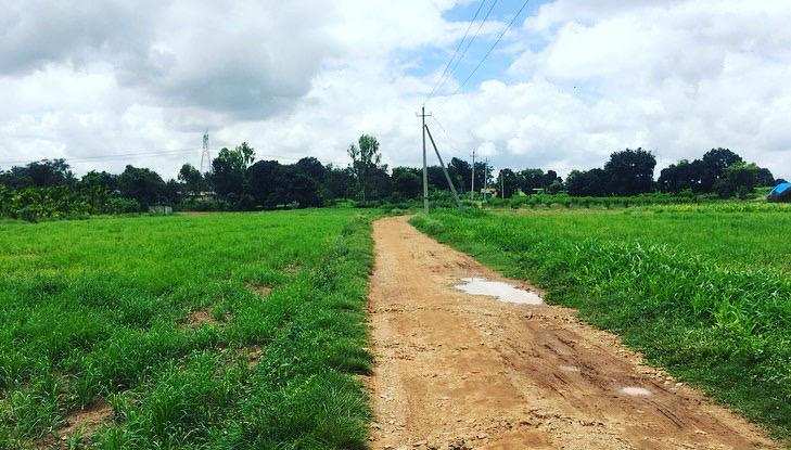 20 Guntas Farm Land for Sale in Doddballapura