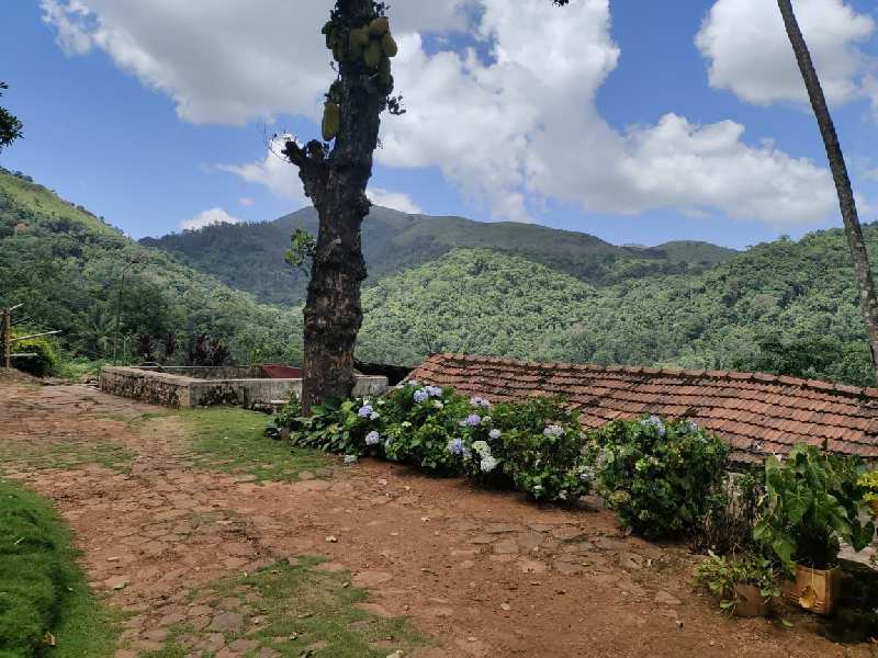 400 acres coffee estate for sale in Chikkamgaluru