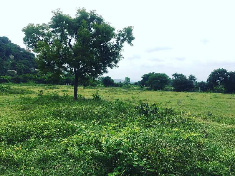 8 Acres 20 Guntas Farm Land for Sale in Chikkaballapura