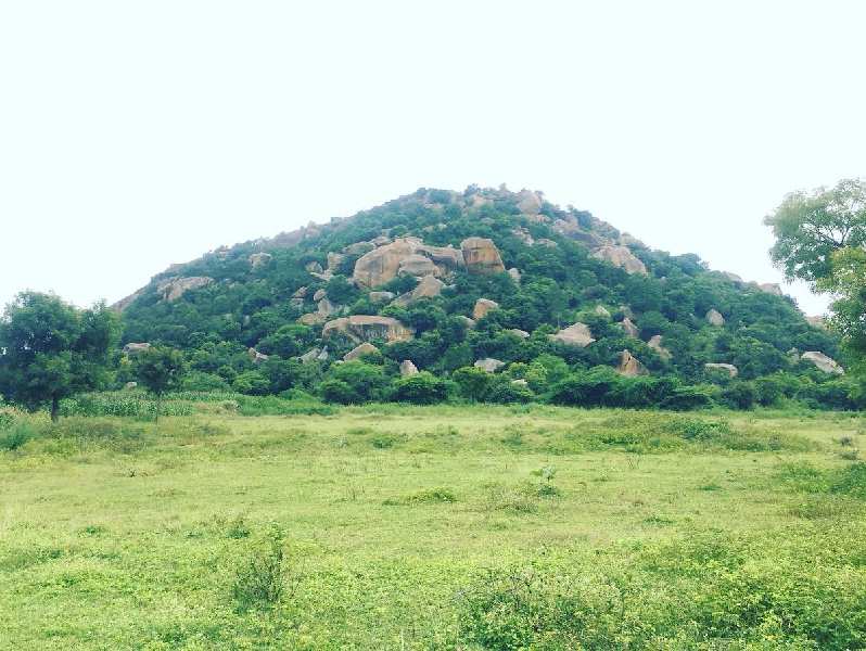 1 Acre Developed Farm Land with Beautiful Hill View for sale in Chikkaballapura