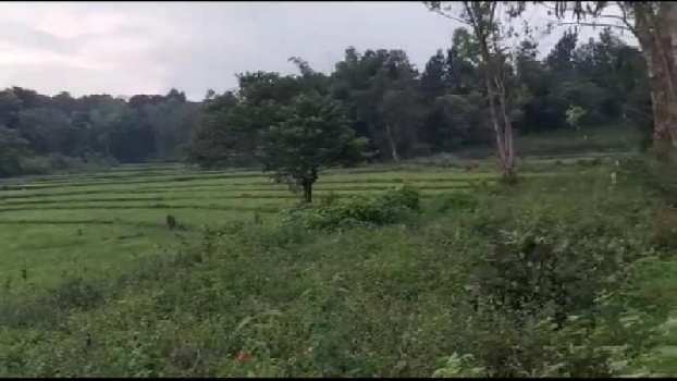 10 acre agriculture land for sale in Hassan