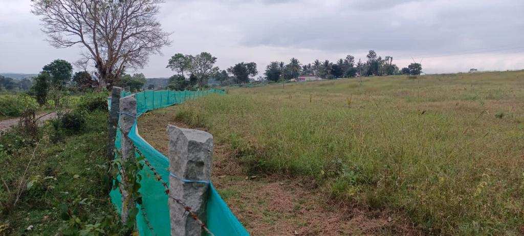 8 acre agriculture land for sale in Belur - Hassan dist