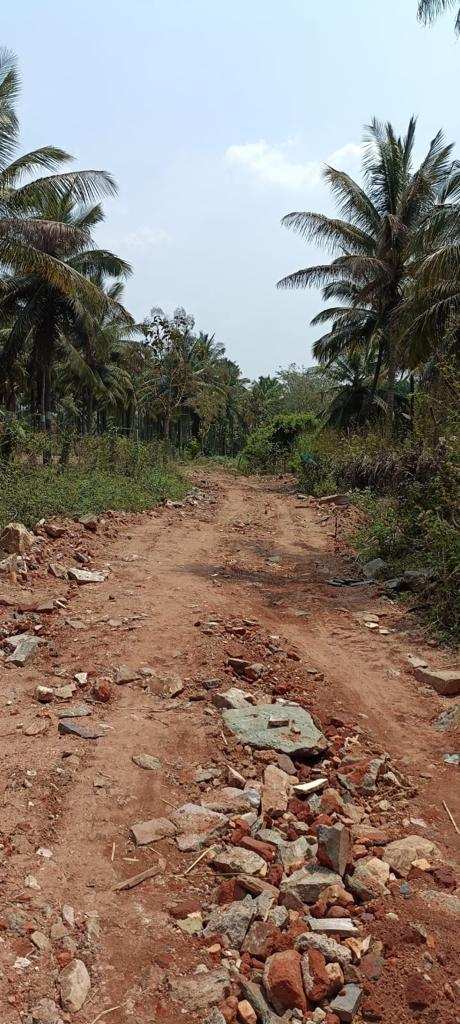3 acre coconut plantation for sale