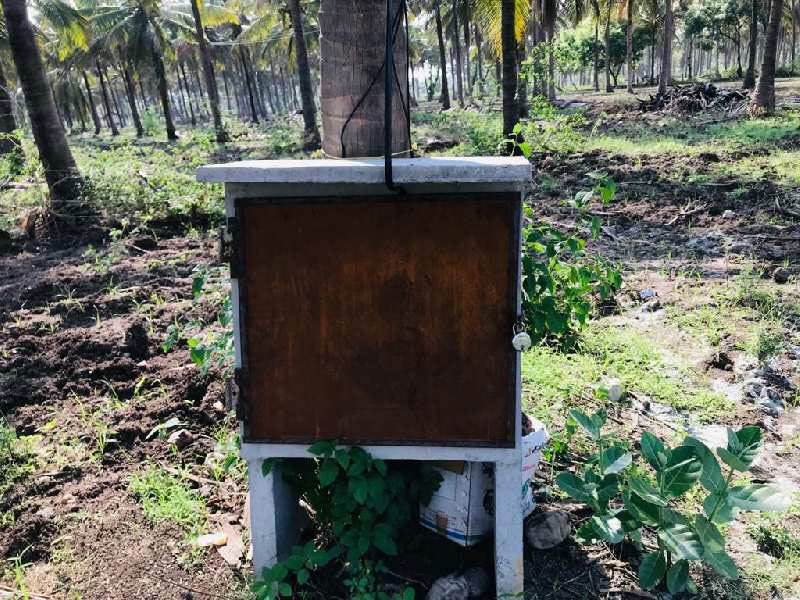 3 acre coconut plantation for sale
