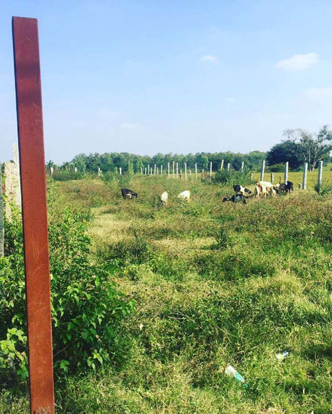 10 guntas farm land for sale in Bangalore rural