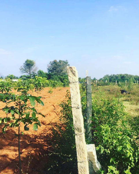10 guntas farm land for sale in Bangalore rural
