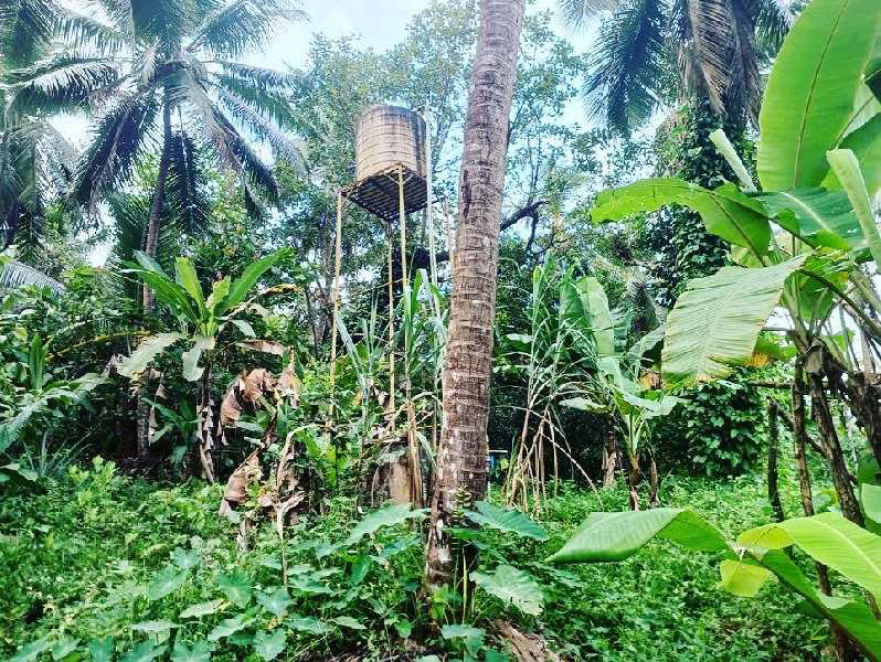 4 acre coffee plantation for sale in Madikeri - Coorg dist