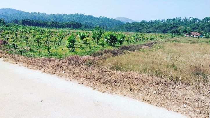 1.50 acre Land for sale in Mudigere