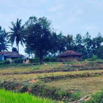 5.12 Acre Agricultural/Farm Land for Sale in Belur Hassan, Hassan