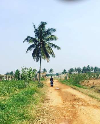 2.5 Guntas Land with Beautiful Nandhi Hills View for sale