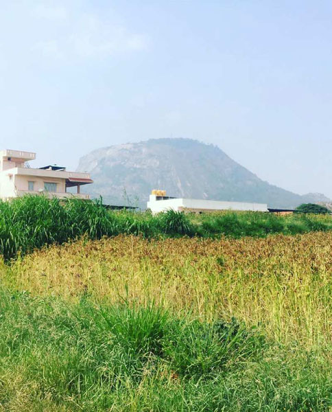 2.5 Guntas Land with Beautiful Nandhi Hills View for sale