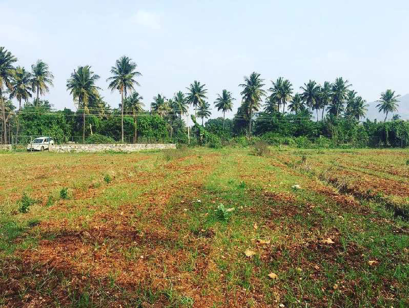 2 acres 24 Guntas Farm Land for Sale in Doddballapura
