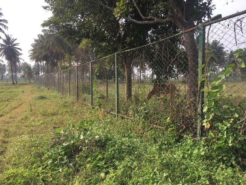 2 acres 24 Guntas Farm Land for Sale in Doddballapura