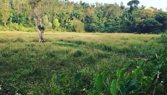 2 acre 30 gunta agri land for sale