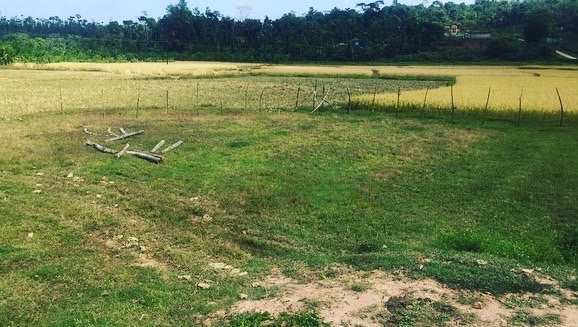 6 acre agriculture land for sale in Mudigere  Chikkamagaluru