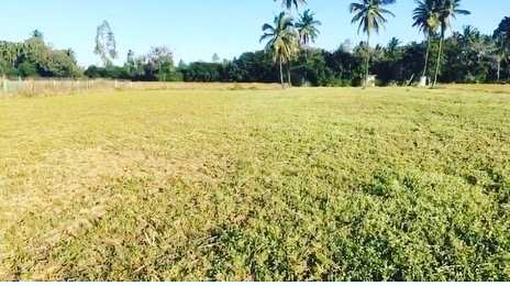 1 acre 6 guntas farm land for sale  with Nandhi Hills View.
