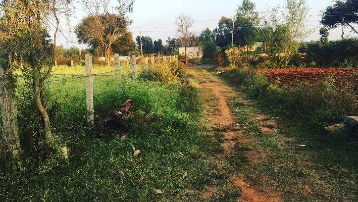 1 acre 1 gunta Farm Land for sale in Doddballapura- Bengaluru